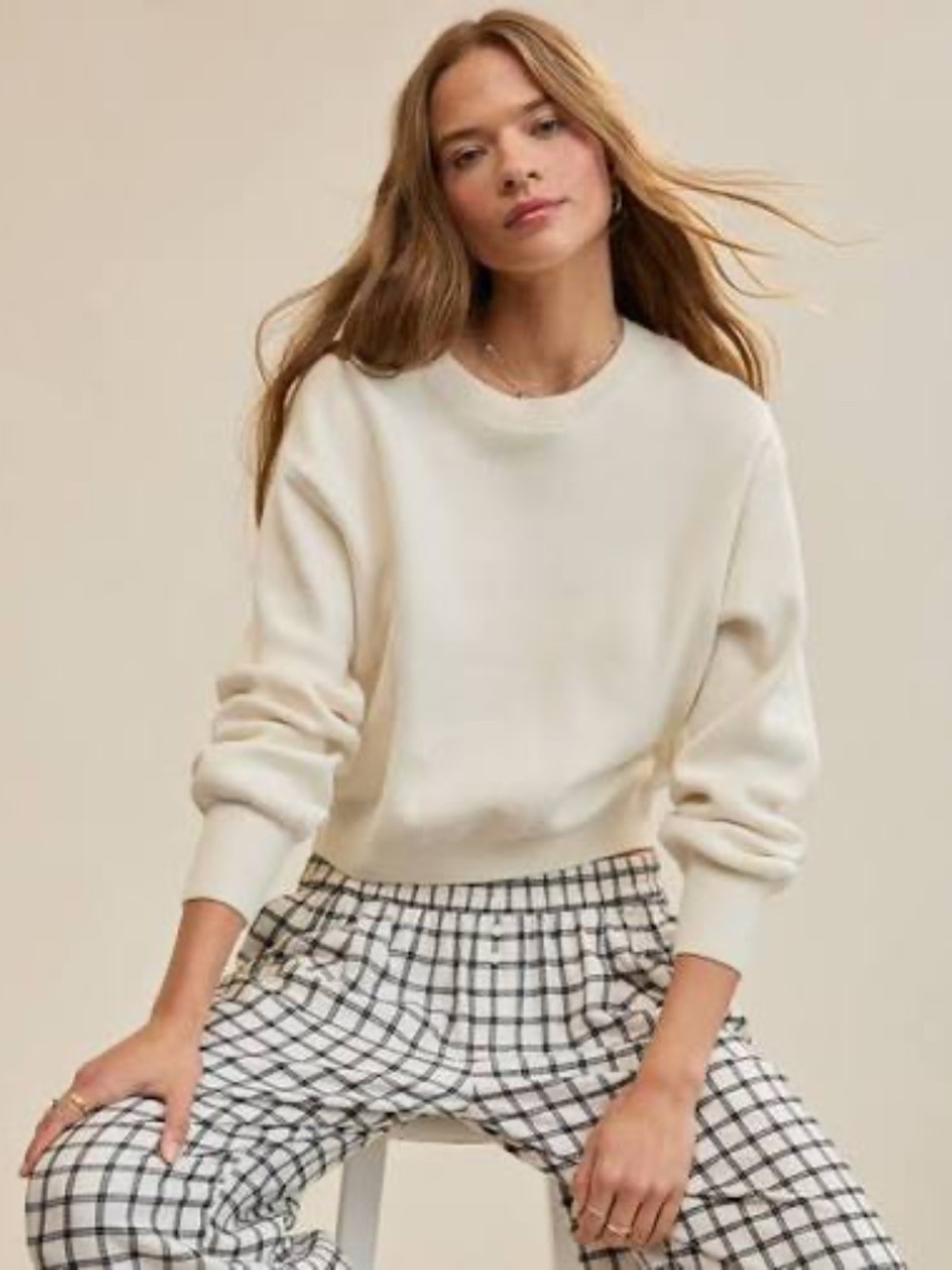 Aerie Cropped Crew Sweater Size Small